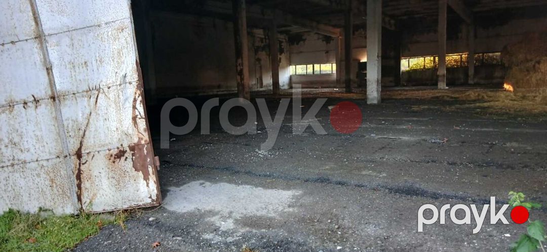 Satılır torpaq 162.3 sot — Torpaq, İsmayıllı (7)