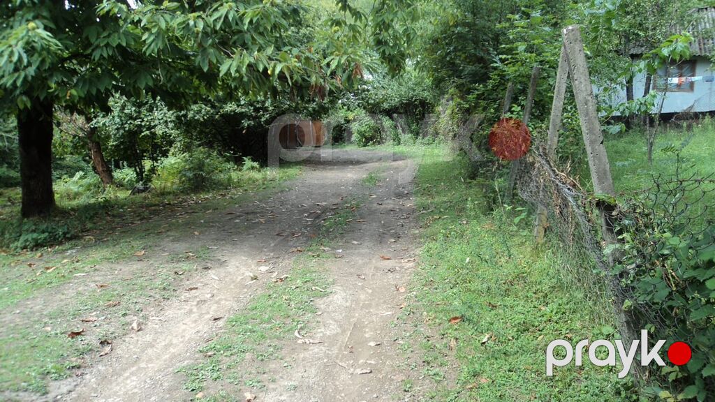 17 sot, Tikinti, Mülkiyyətçi, Kupça (Çıxarış) — Torpaq, Qəbələ (5)