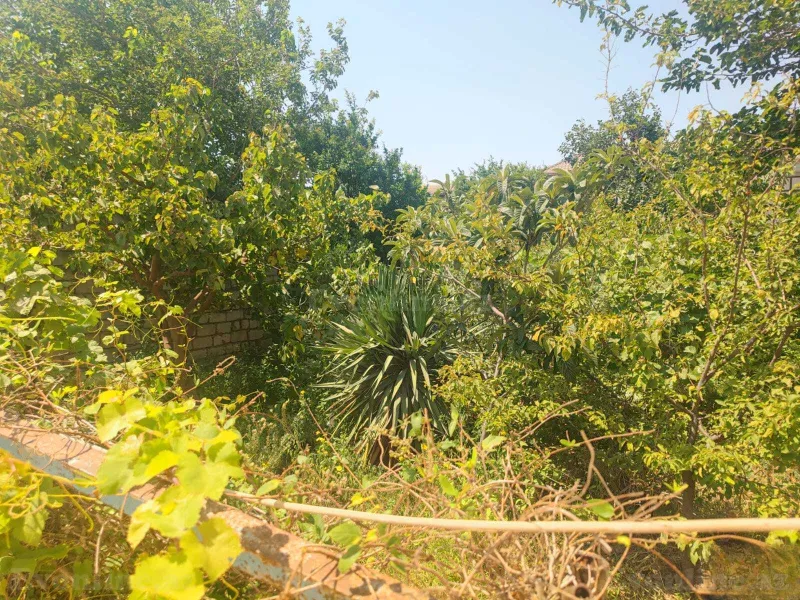 Satılır 4 otaqlı Həyət evi 200 m² Sumqayıt — Ev, villa, Sumqayıt (7)