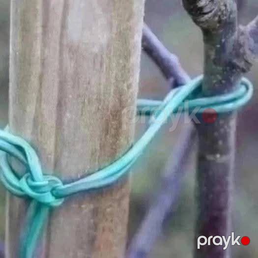 Agro rezin — Ev malları, Bakı (3)