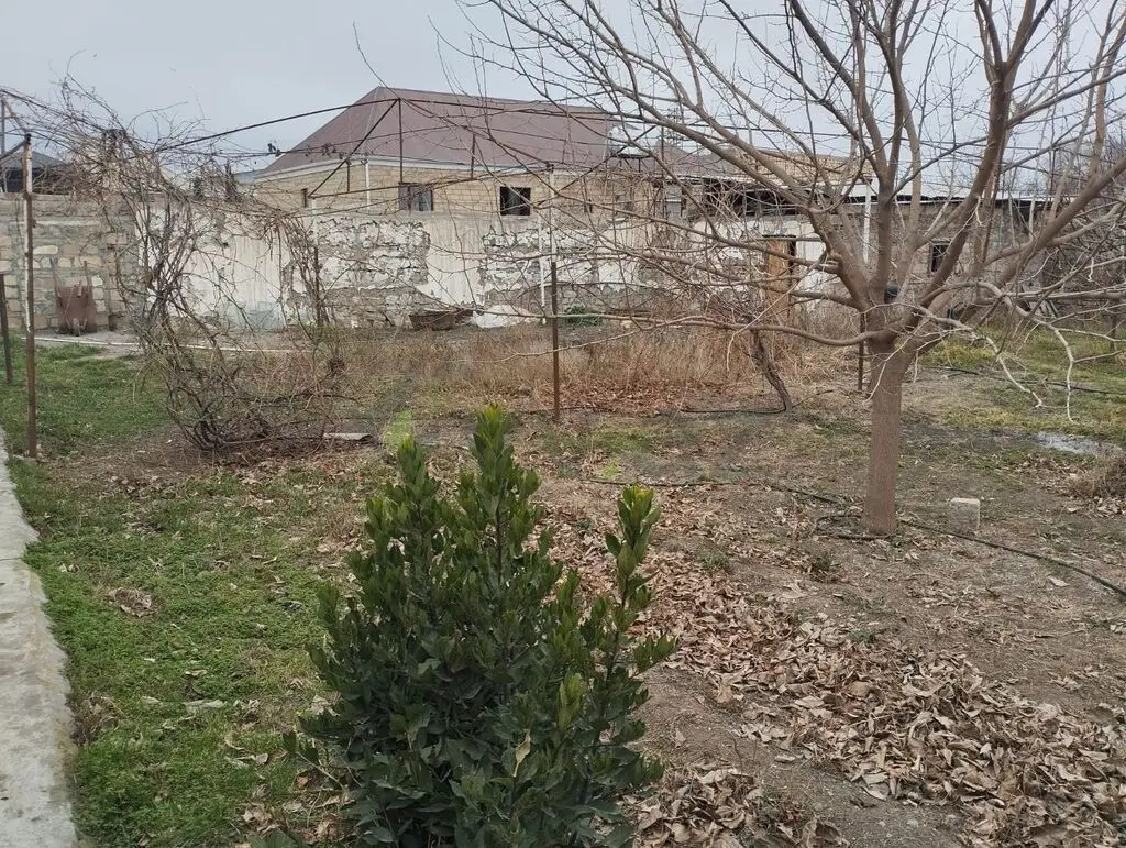 4 otaqlı Həyət evi Satılır, Samux — Ev, villa, Samux (5)