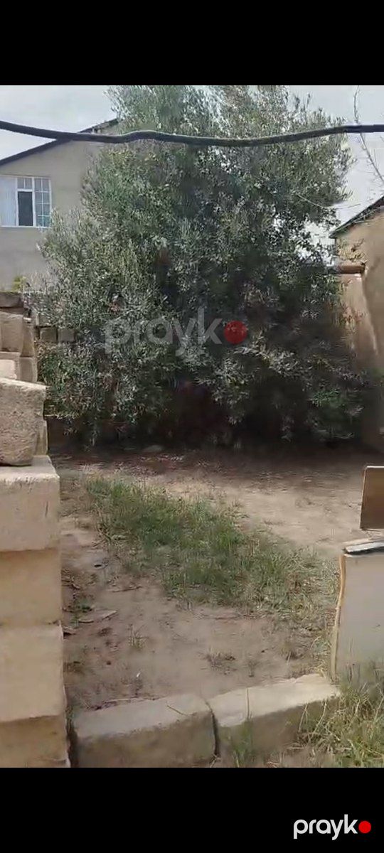 Həyət evi kirayə verilir, Binəqədi qəs — Ev, villa, Bakı (4)