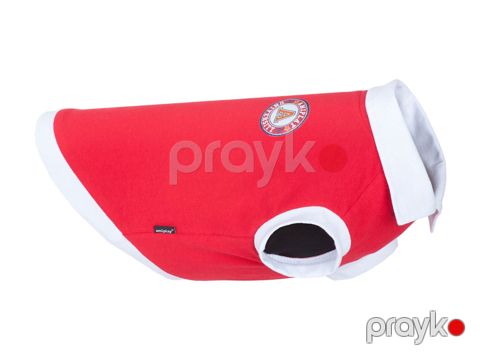 İtlər üçün futbolka Amiplay Oxford, 25 sm, ölçü XS, qırmızı — Bakı