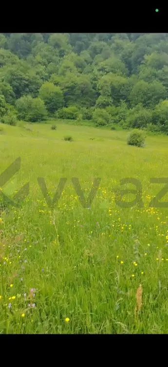 125 sot Torpaq Satılır, Quba — Torpaq, Quba (2)