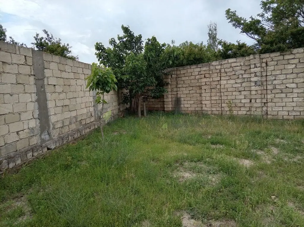 5 sot Torpaq Satılır, Novxanı, Abşeron — Torpaq (8)