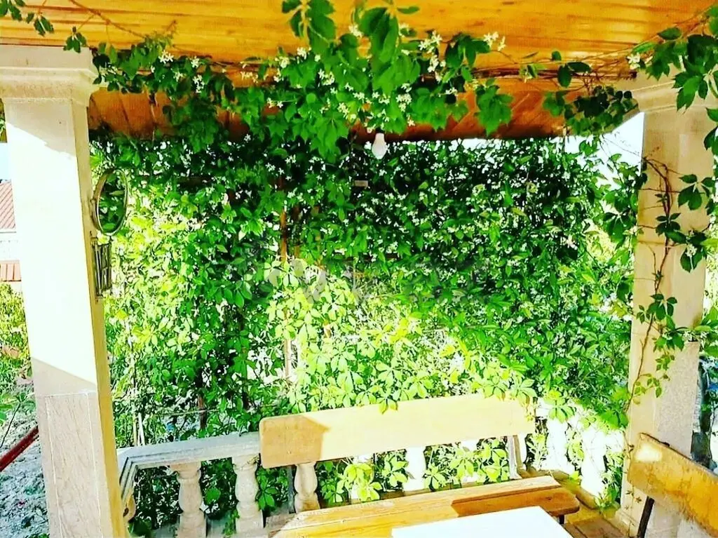 3 otaqlı Həyət evi Kirayə (günlük), Novxanı, Abşeron — Ev, villa (12)