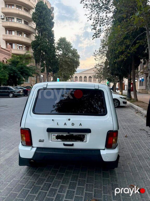 Lada (VAZ) Niva, 1.7 L, 2013 il, 110 000 km — Avtomobillər, Gəncə (11)