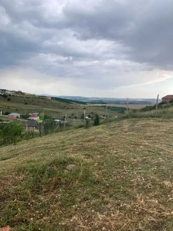 12 sot Torpaq Satılır, Şamaxı — Torpaq, Şamaxı (10)