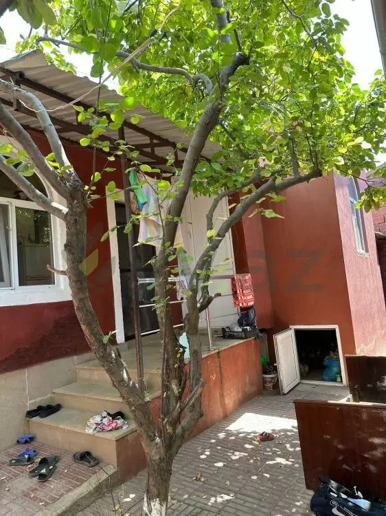 3 otaqlı Həyət evi Satılır, Masazır, Abşeron — Ev, villa (2)