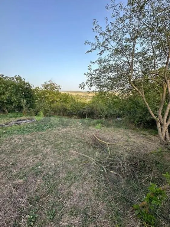 22 sot Torpaq Satılır, Şabran — Torpaq, Şabran (10)