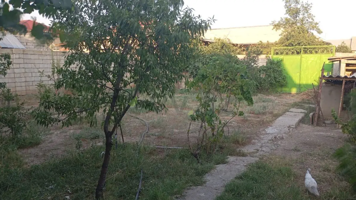 4 otaqlı Həyət evi Satılır, Naxçıvan MR — Ev, villa (12)