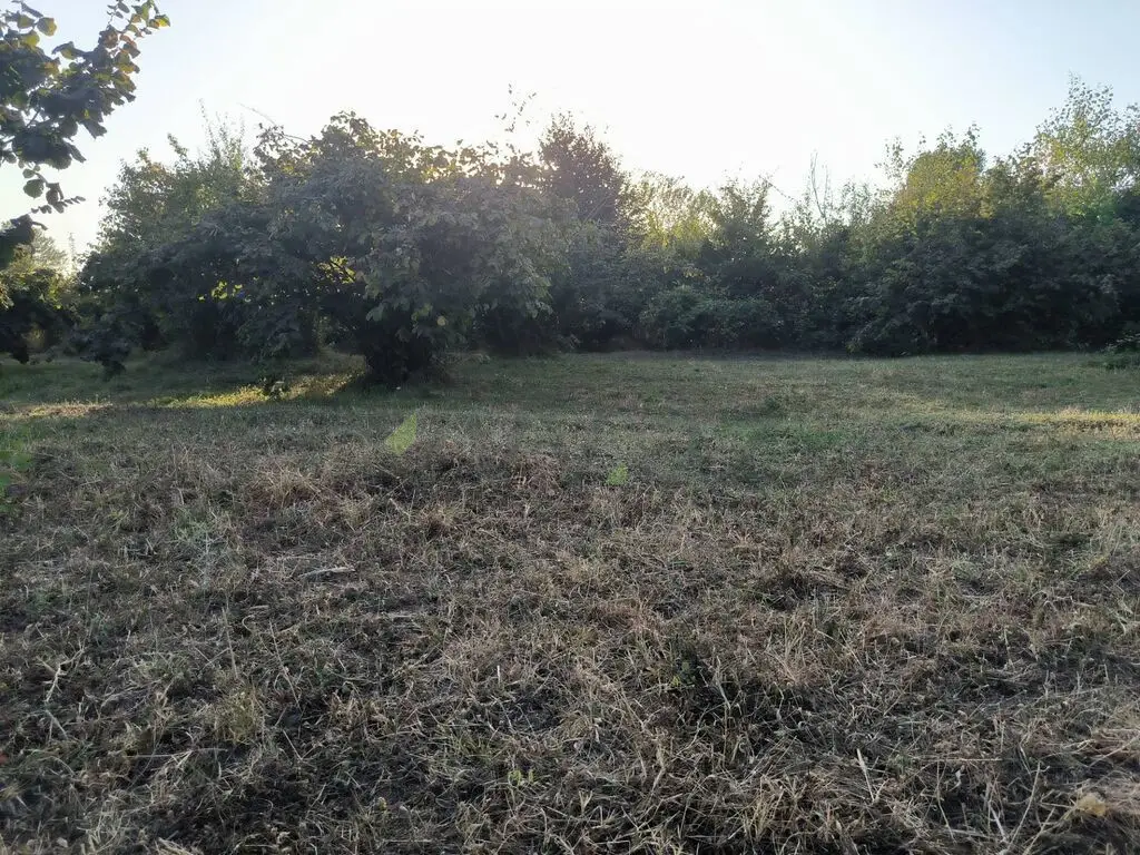 21 sot Torpaq Satılır, Qəbələ — Torpaq, Qəbələ (2)