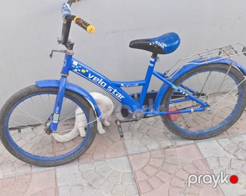 Uşaq velosipedi – Velo Star - Marka/model: Velo Star - Ölçü: Təxmini — Masazır