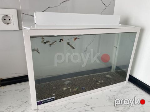 Dördbucaq akvarium, Balıqlarla birlikdə, 20 l, Ünvandan götürmə — Digah