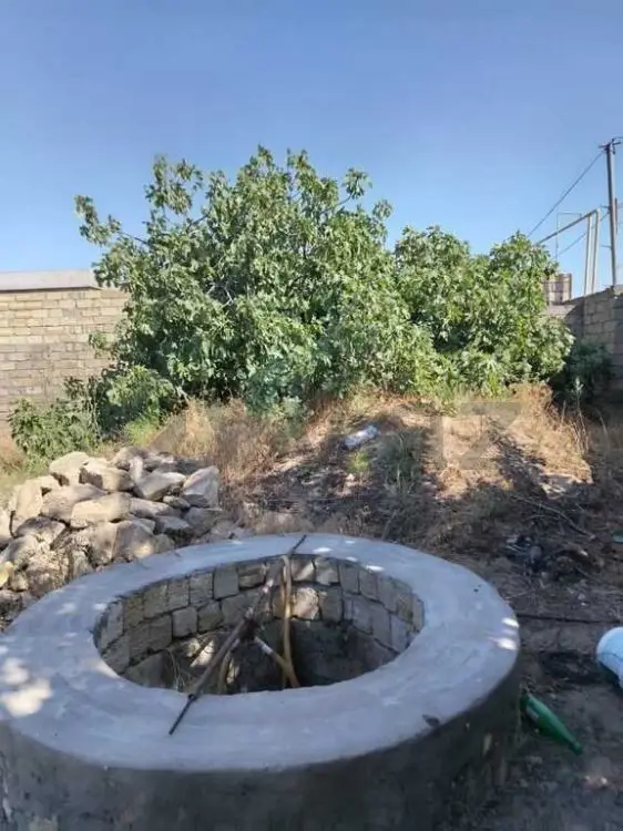 25 sot Torpaq Satılır, Nardaran qəs., Sabunçu, Bakı — Bakı