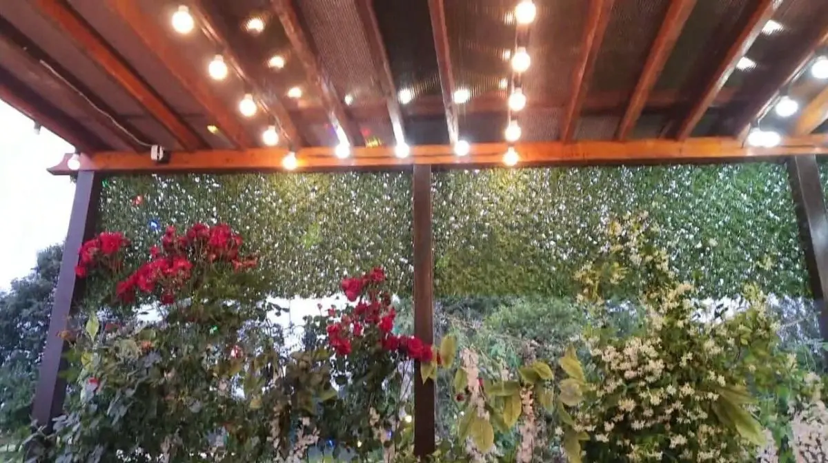 3 otaqlı Həyət evi Kirayə (günlük), Lənkəran — Ev, villa, Lənkəran (11)