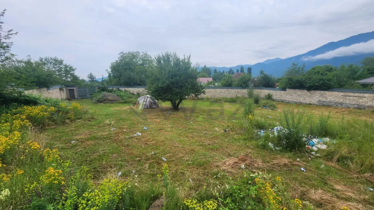 12 sot Torpaq Satılır, Qəbələ — Torpaq, Qəbələ (8)