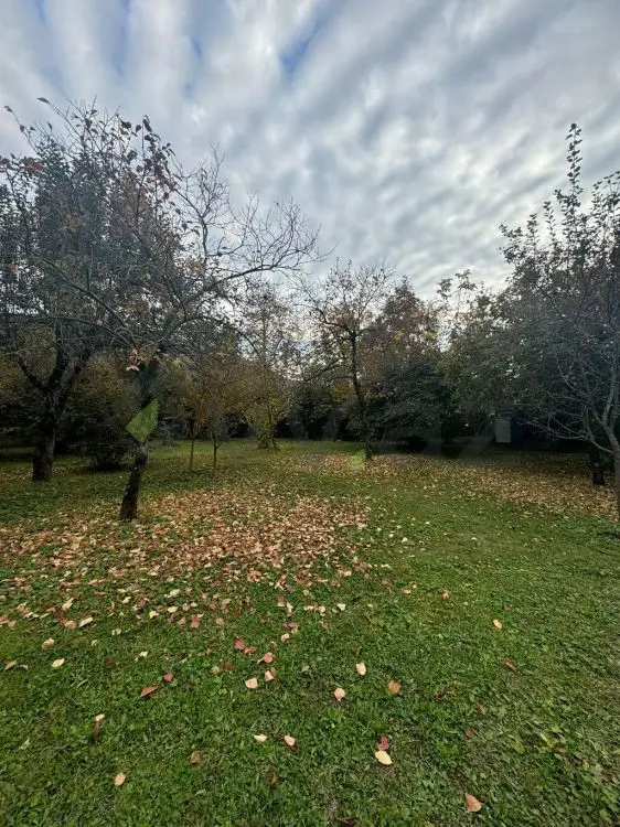 10 sot Torpaq Satılır, Zaqatala — Torpaq, Zaqatala (5)