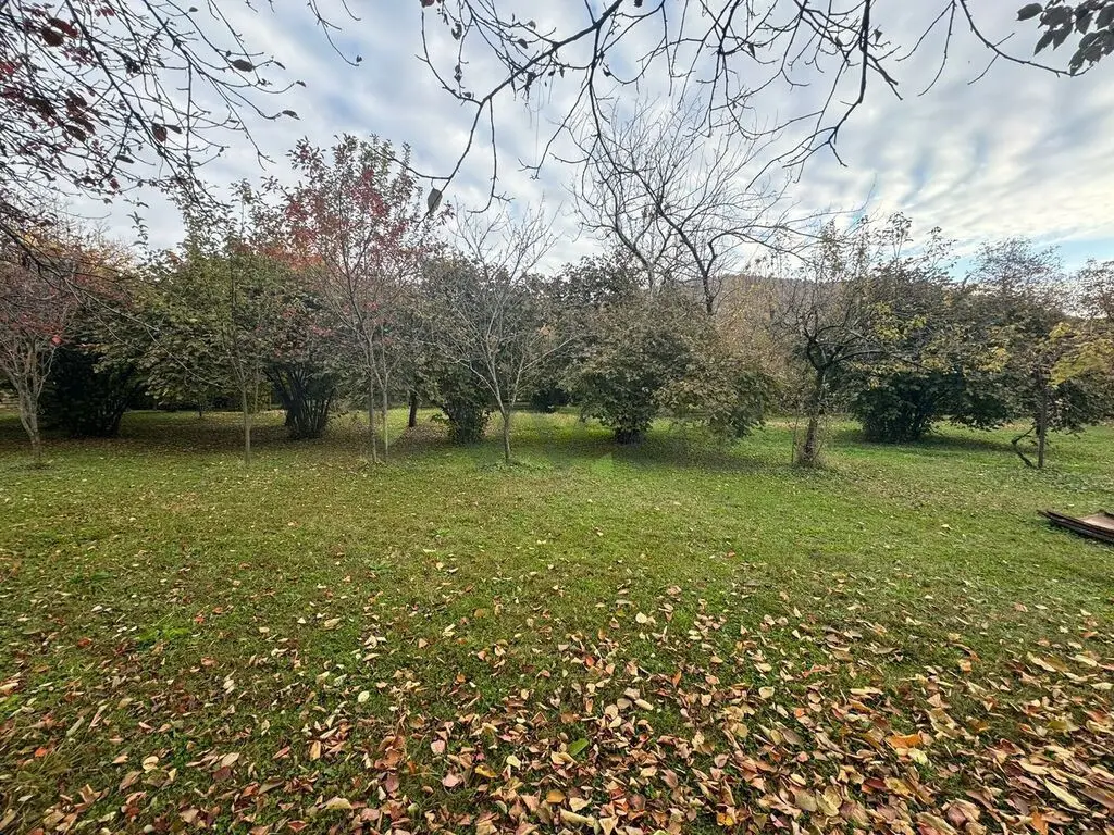 10 sot Torpaq Satılır, Zaqatala — Torpaq, Zaqatala (3)