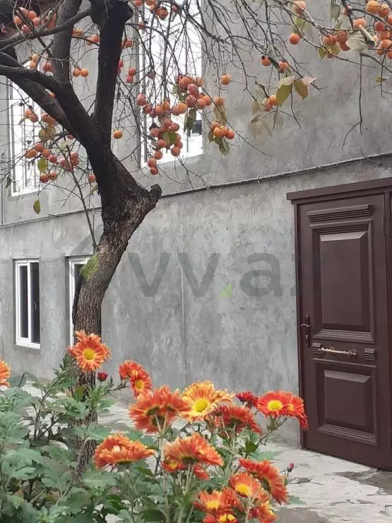 3 otaqlı Həyət evi Kirayə (günlük), Qax — Ev, villa, Qax (4)