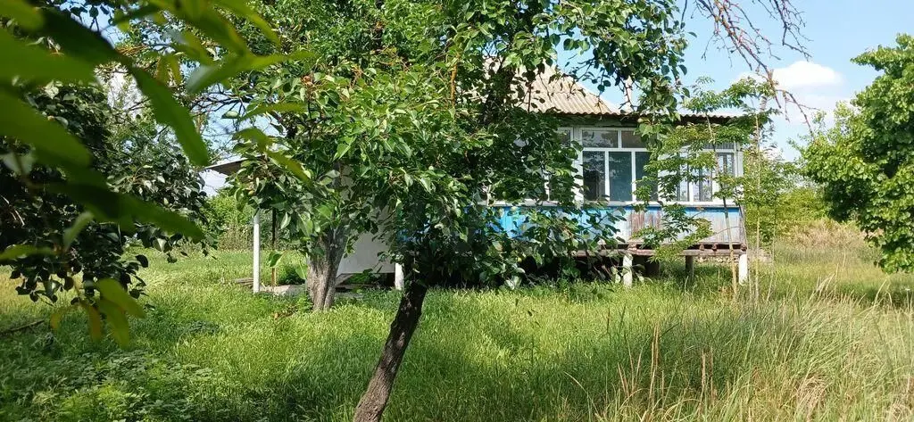3 otaqlı Həyət evi Satılır, Ucar — Ev, villa, Ucar (3)