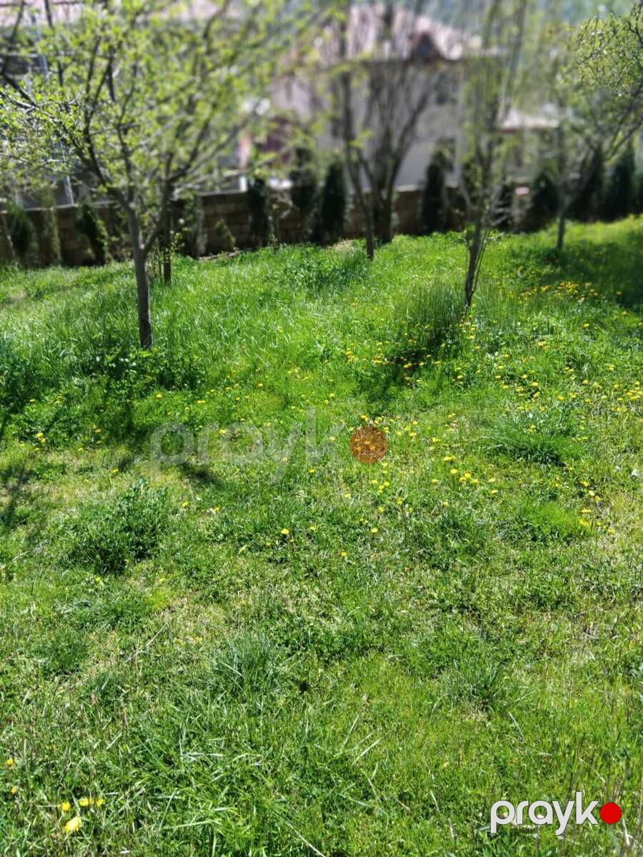 İcarəyə verilir 3 otaqlı həyət evi/bağ evi 45 m² — Ev, villa, Qax (7)