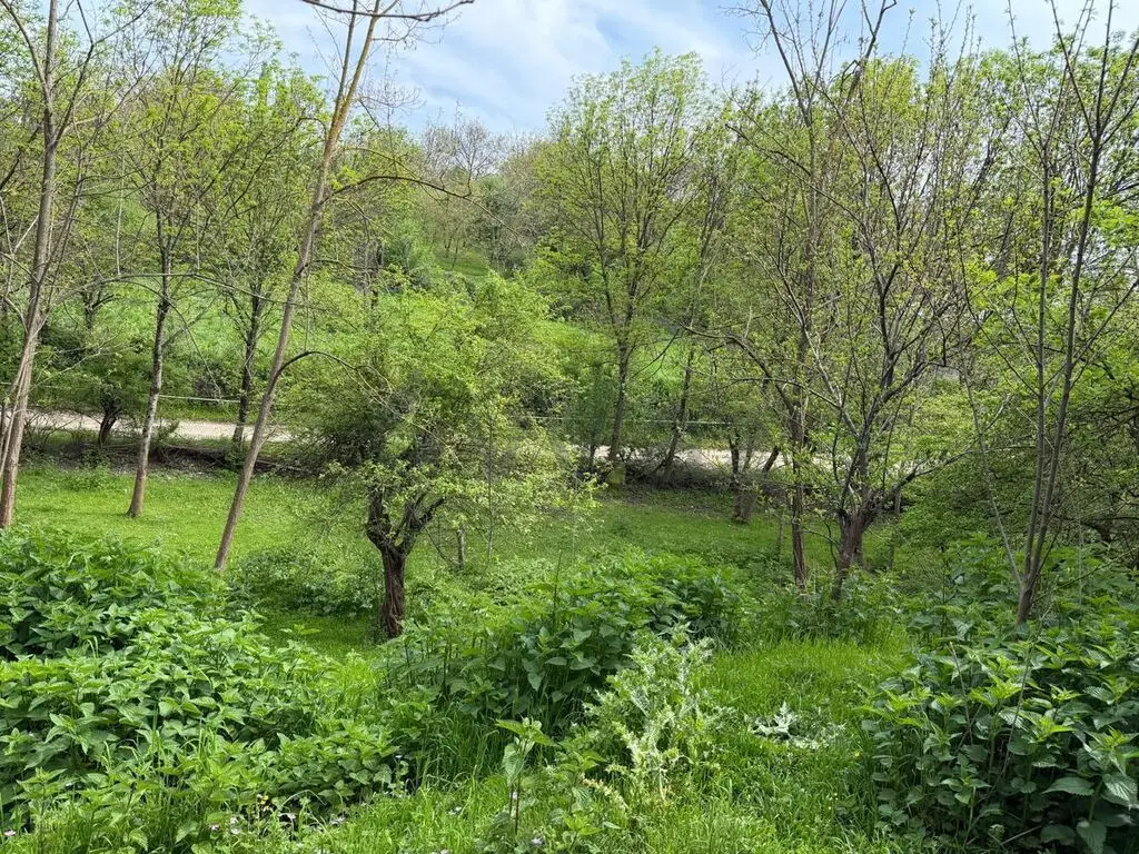 10 sot Torpaq Satılır, Qusar — Torpaq, Qusar (5)