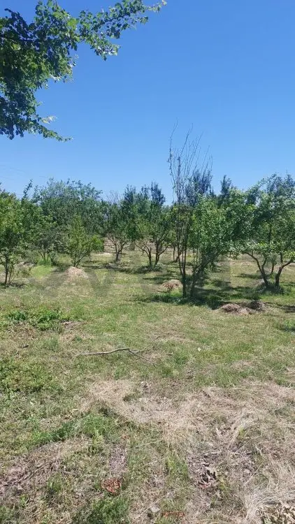 19 sot Torpaq Satılır, Göyçay — Torpaq, Göyçay (5)