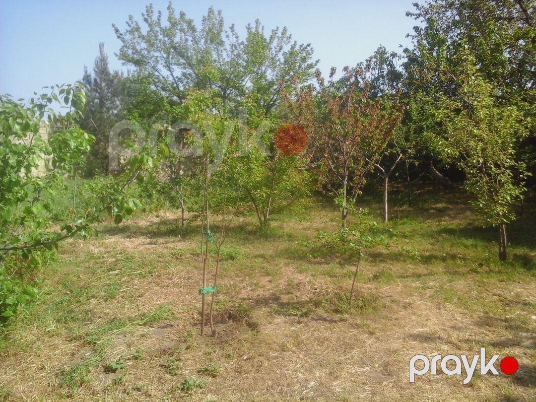 Satılır 3 otaqlı həyət evi/bağ evi 80 m² — Ev, villa, Bakı (3)