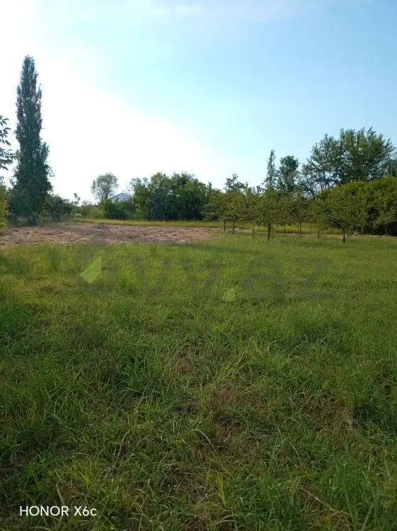 20 sot Torpaq Satılır, Ağdaş — Torpaq, Ağdaş (5)