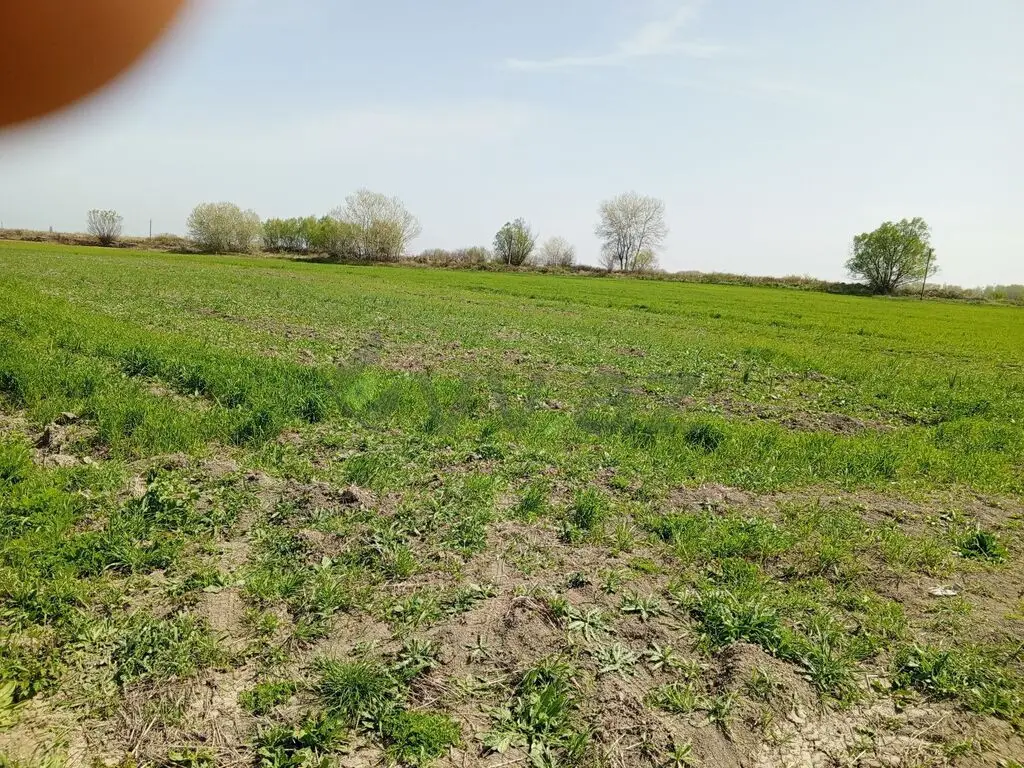 187 sot Torpaq Satılır, Xaçmaz — Torpaq, Xaçmaz (5)