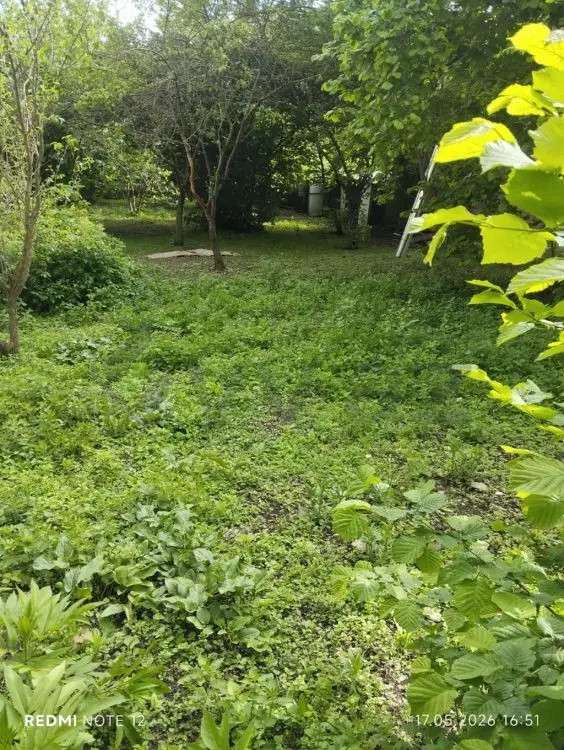 6 sot Torpaq Satılır, Oğuz — Torpaq, Oğuz (2)