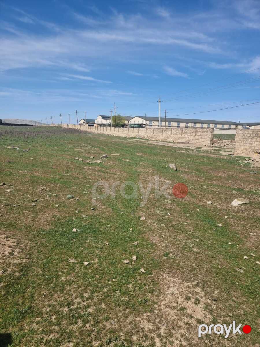 Satılır torpaq 80 sot — Torpaq, Bakı (5)
