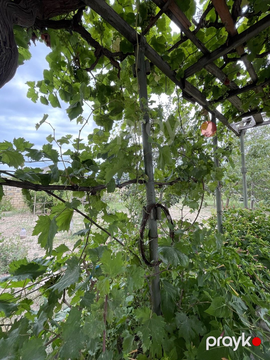 Satılır 5 otaqlı həyət evi/bağ evi 280 m² — Ev, villa, Sumqayıt (9)