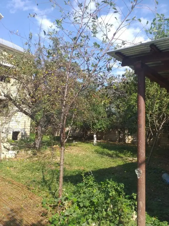 4 otaqlı Həyət evi Satılır, Qəbələ — Ev, villa, Qəbələ (4)