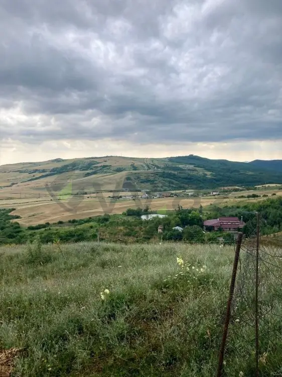 12 sot Torpaq Satılır, Şamaxı — Torpaq, Şamaxı (12)