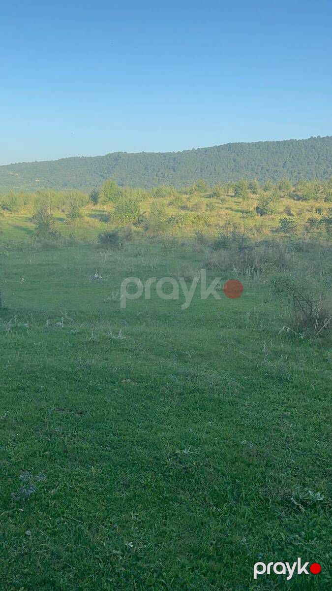 Satılır torpaq 76 sot — Torpaq, Quba (3)