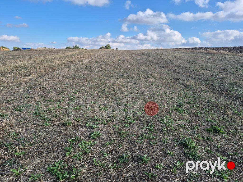 25 sot, Mülkiyyətçi, Kupça (Çıxarış) — Torpaq, Şamaxı (3)