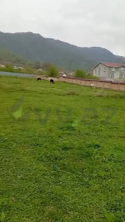 12 sot Torpaq Satılır, Qəbələ — Qəbələ