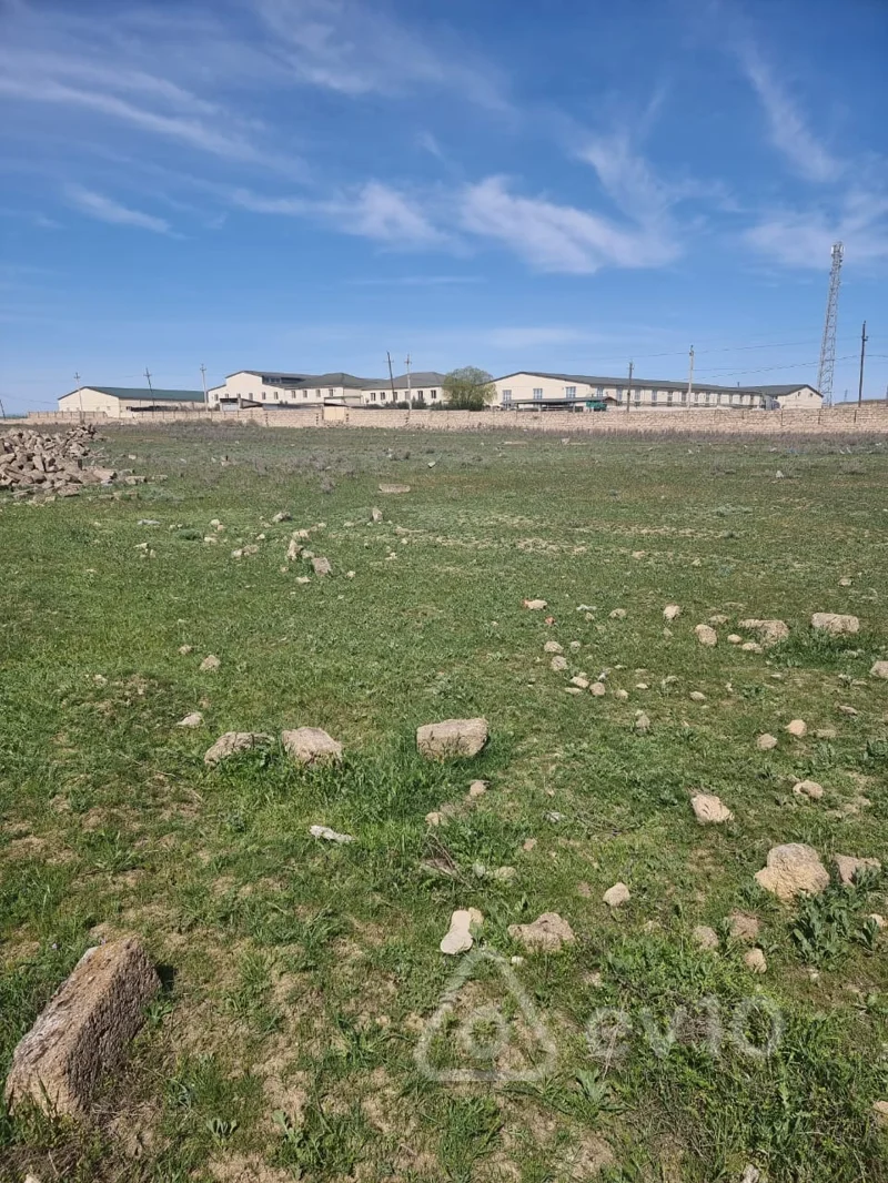Torpaq sahəsi, 80 sot, Qobu qəs — Torpaq, Bakı (3)