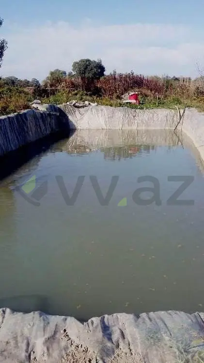 180 sot Torpaq Satılır, Xaçmaz — Torpaq, Xaçmaz (10)