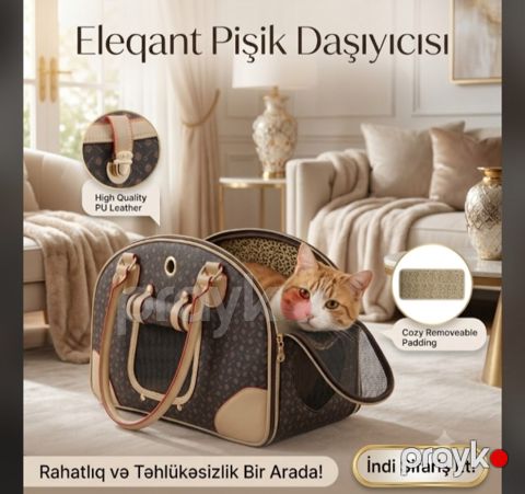 Pişik daşıyıcısı — Bakı