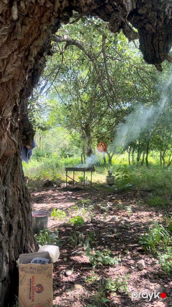 1050 sot torpaq sahəsi, Şamaxı r — Torpaq, Şamaxı (10)