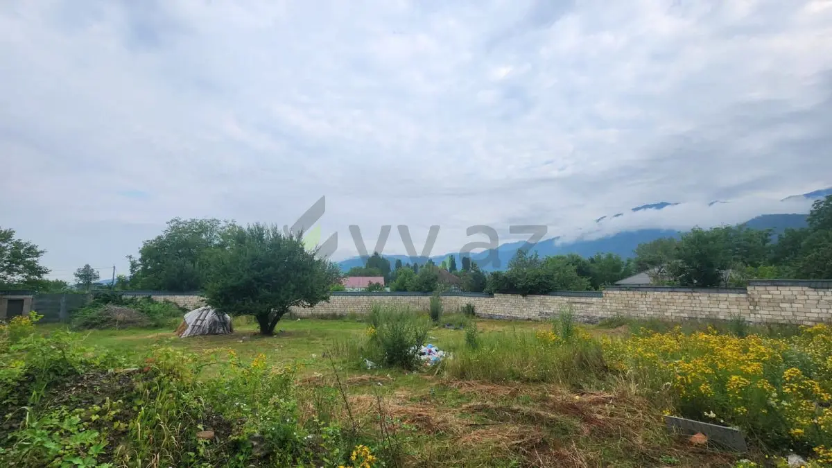 12 sot Torpaq Satılır, Qəbələ — Torpaq, Qəbələ (9)