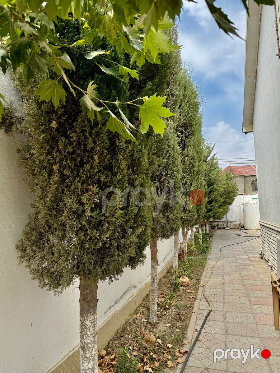 Bağ evi, Sea Breeze — Ev, villa, Bakı (5)