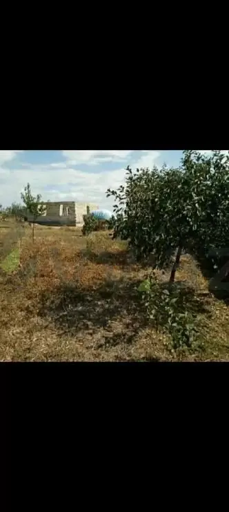 3 otaqlı Yarım tikili Satılır, Şamaxı — Ev, villa, Şamaxı (4)