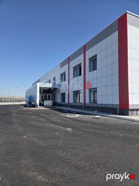 Alkapon işləri — Bakı