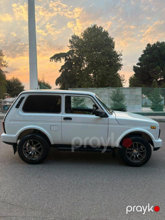 Lada (VAZ) Niva, 1.7 L, 2013 il, 110 000 km — Avtomobillər, Gəncə (7)