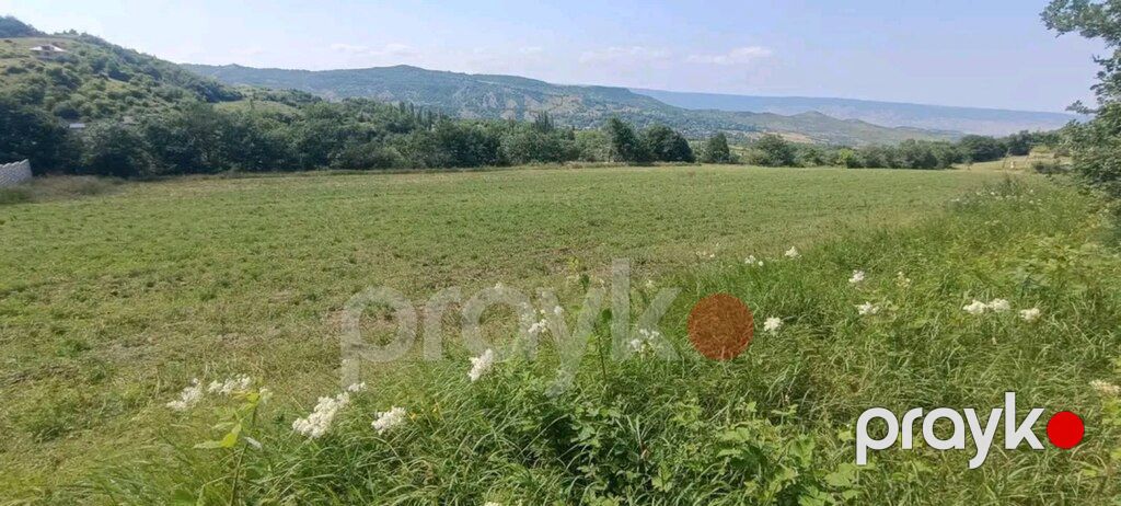 15 sot torpaq sahəsi, Mucuq kəndi — Torpaq, Qusar (5)