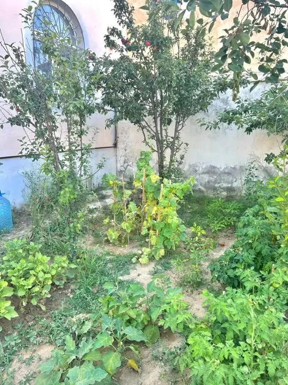 4 otaqlı Həyət evi Satılır, Qobu, Abşeron — Ev, villa (5)